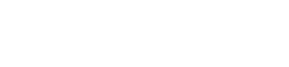 França Estética Automotiva